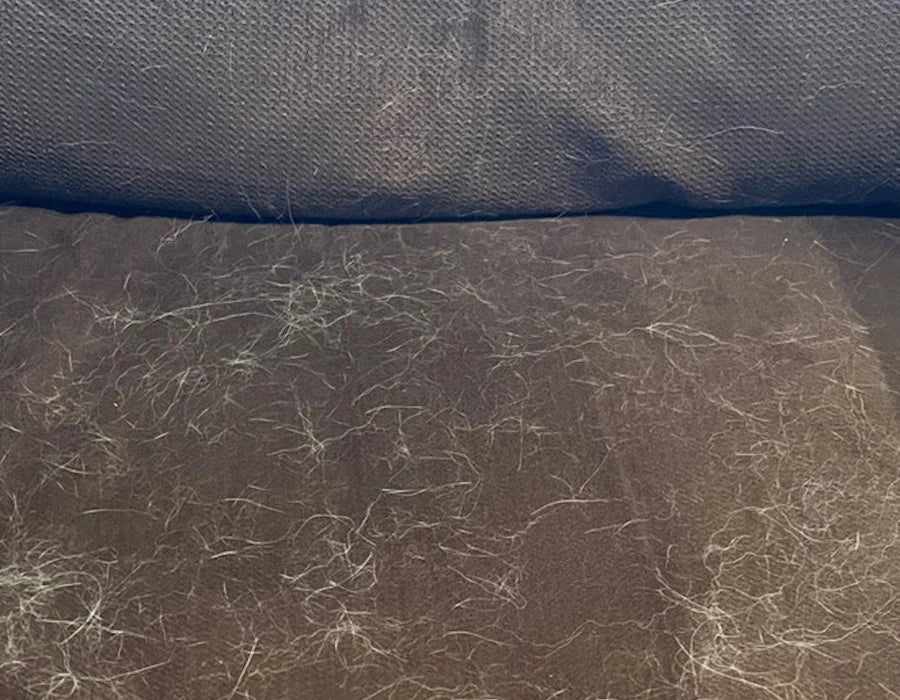 Coussin avant retrait des poils