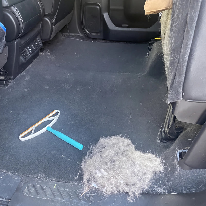 Dans la voiture